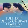 About Turi Tain DIl La Churaye Havas Na Song